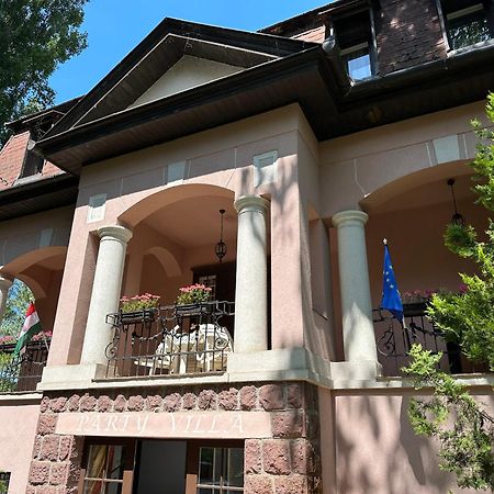 Party Villa Holiday Rent Balatonfoldvar Exterior photo