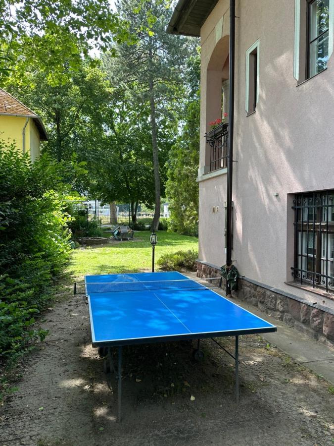 Party Villa Holiday Rent Balatonfoldvar Exterior photo