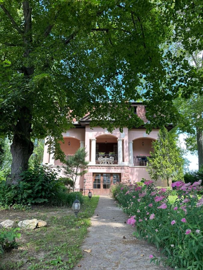 Party Villa Holiday Rent Balatonfoldvar Exterior photo