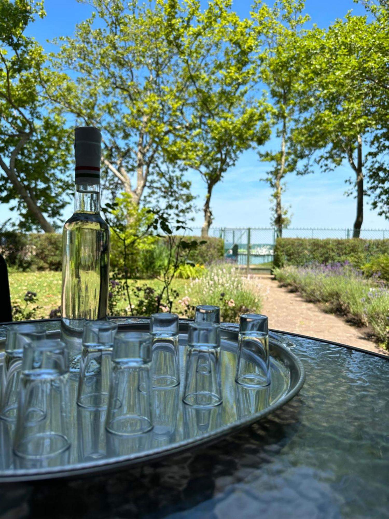 Party Villa Holiday Rent Balatonfoldvar Exterior photo